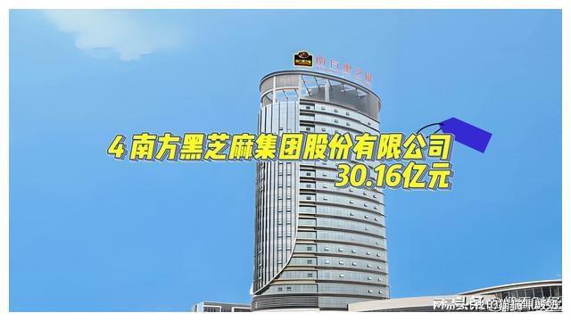 民营企业营收排行榜麻将胡了广西玉林(图6)