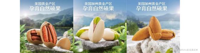 口什么是三只松鼠？麻将胡了2游戏入(图4)