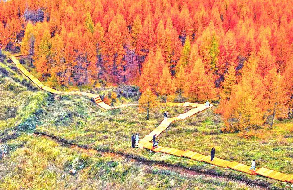 广播电视报》2025年第43期PG麻将胡了试玩电子版 《山西(图11)